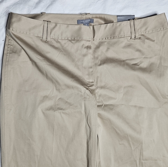 Ann Taylor Petites Bootleg Gramercy Fit Tan Khaki Trousers Pants sz 16P NWT - Picture 3 of 6